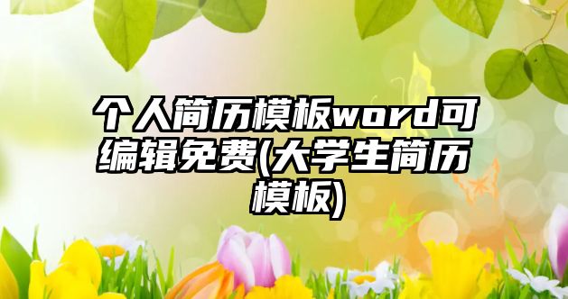 個(gè)人簡(jiǎn)歷模板word可編輯免費(fèi)(大學(xué)生簡(jiǎn)歷 模板)