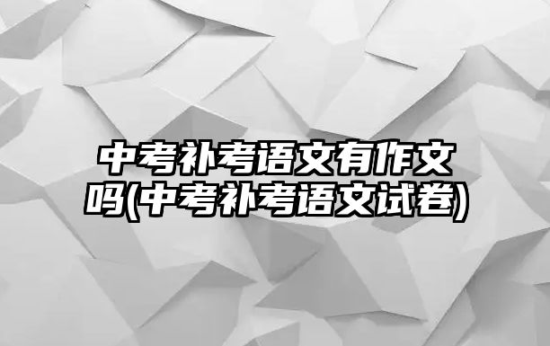 中考補(bǔ)考語文有作文嗎(中考補(bǔ)考語文試卷)