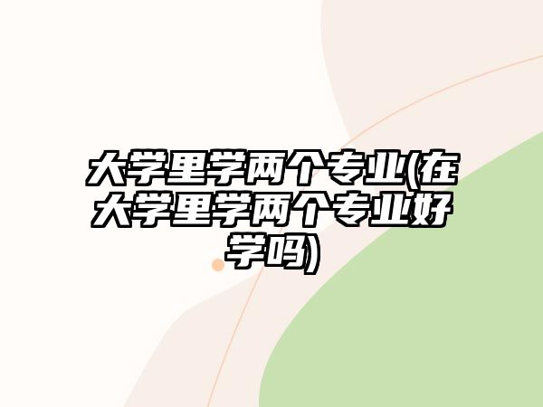 大學(xué)里學(xué)兩個專業(yè)(在大學(xué)里學(xué)兩個專業(yè)好學(xué)嗎)