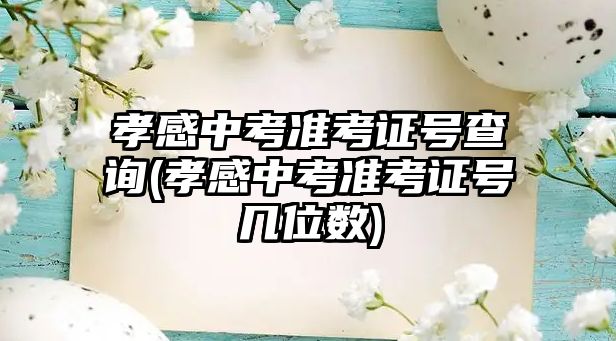 孝感中考準(zhǔn)考證號(hào)查詢(孝感中考準(zhǔn)考證號(hào)幾位數(shù))