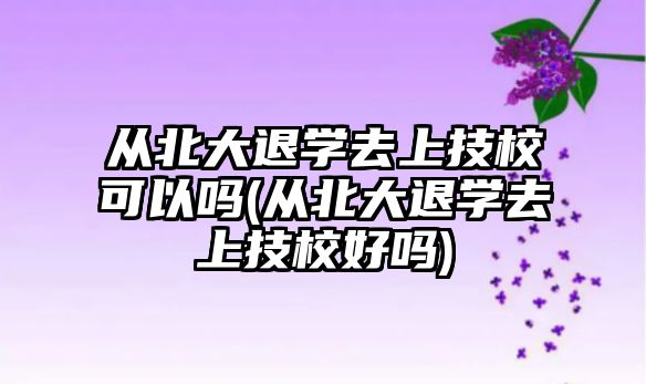 從北大退學(xué)去上技?？梢詥?從北大退學(xué)去上技校好嗎)