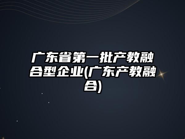 廣東省第一批產(chǎn)教融合型企業(yè)(廣東產(chǎn)教融合)