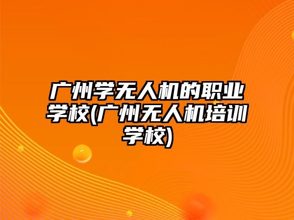 廣州學無人機的職業(yè)學校(廣州無人機培訓學校)