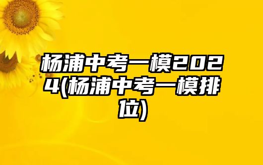 楊浦中考一模2024(楊浦中考一模排位)