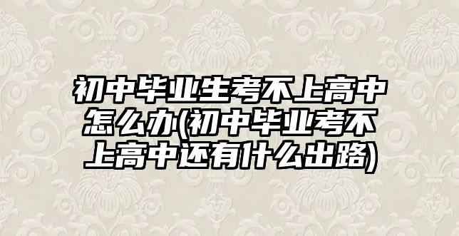 初中畢業(yè)生考不上高中怎么辦(初中畢業(yè)考不上高中還有什么出路)