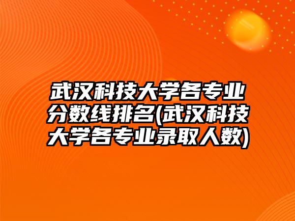 武漢科技大學(xué)各專業(yè)分?jǐn)?shù)線排名(武漢科技大學(xué)各專業(yè)錄取人數(shù))