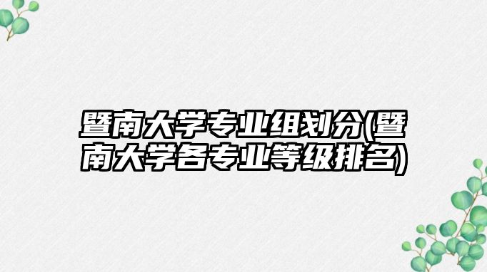 暨南大學(xué)專業(yè)組劃分(暨南大學(xué)各專業(yè)等級(jí)排名)