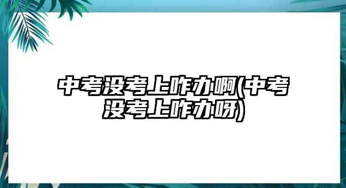 中考沒考上咋辦啊(中考沒考上咋辦呀)