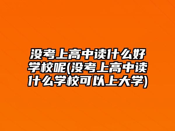 沒考上高中讀什么好學校呢(沒考上高中讀什么學?？梢陨洗髮W)