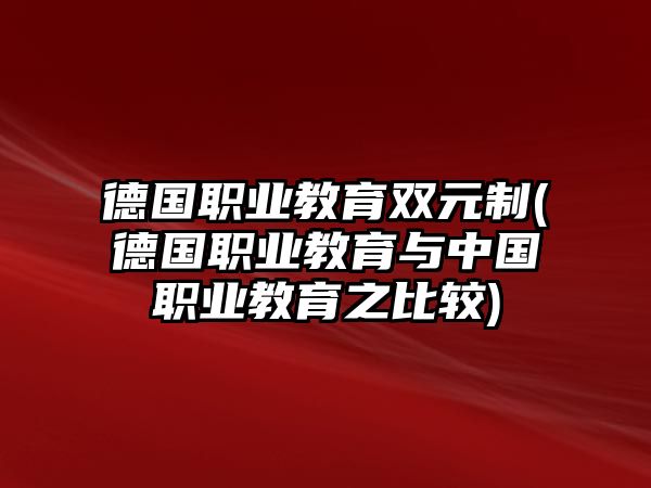 德國(guó)職業(yè)教育雙元制(德國(guó)職業(yè)教育與中國(guó)職業(yè)教育之比較)