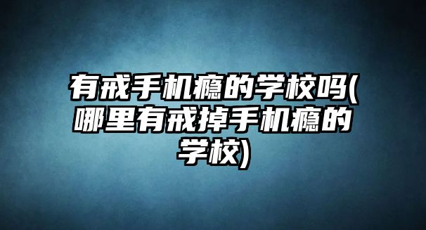 有戒手機(jī)癮的學(xué)校嗎(哪里有戒掉手機(jī)癮的學(xué)校)