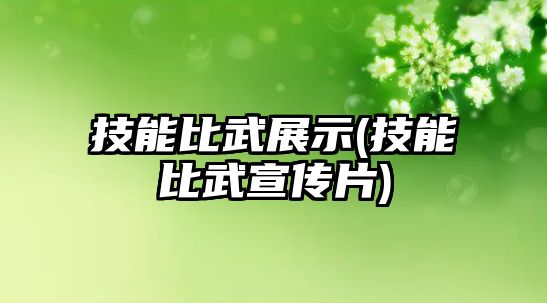 技能比武展示(技能比武宣傳片)