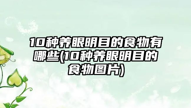 10種養(yǎng)眼明目的食物有哪些(10種養(yǎng)眼明目的食物圖片)