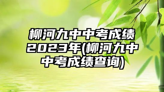 柳河九中中考成績2023年(柳河九中中考成績查詢)