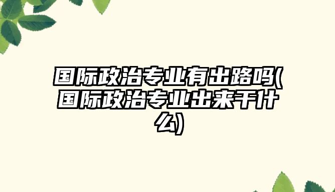 國際政治專業(yè)有出路嗎(國際政治專業(yè)出來干什么)