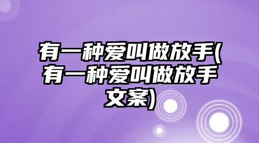 有一種愛叫做放手(有一種愛叫做放手文案)