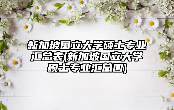 新加坡國立大學(xué)碩士專業(yè)匯總表(新加坡國立大學(xué)碩士專業(yè)匯總圖)