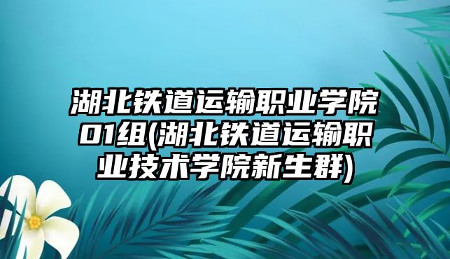 湖北鐵道運(yùn)輸職業(yè)學(xué)院01組(湖北鐵道運(yùn)輸職業(yè)技術(shù)學(xué)院新生群)