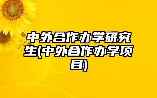 中外合作辦學(xué)研究生(中外合作辦學(xué)項(xiàng)目)