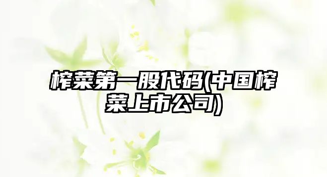 榨菜第一股代碼(中國榨菜上市公司)