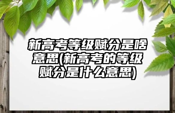 新高考等級(jí)賦分是啥意思(新高考的等級(jí)賦分是什么意思)