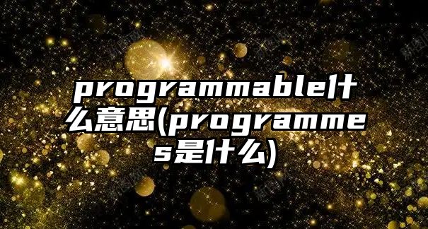 programmable什么意思(programmes是什么)