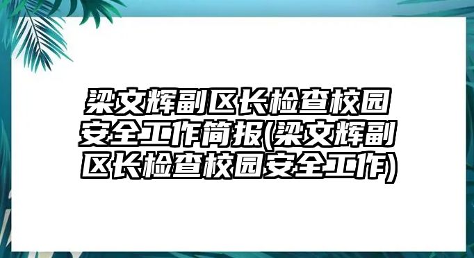 梁文輝副區(qū)長檢查校園安全工作簡報(梁文輝副區(qū)長檢查校園安全工作)