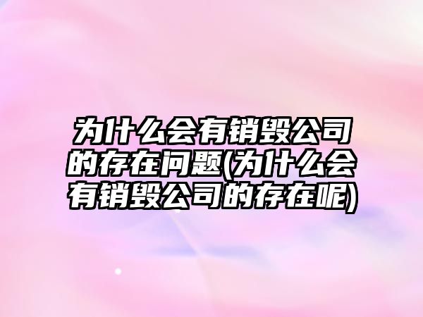 為什么會有銷毀公司的存在問題(為什么會有銷毀公司的存在呢)