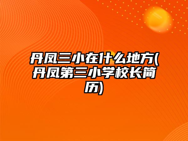 丹鳳三小在什么地方(丹鳳第三小學(xué)校長(zhǎng)簡(jiǎn)歷)