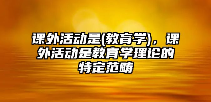 課外活動是(教育學(xué))，課外活動是教育學(xué)理論的特定范疇