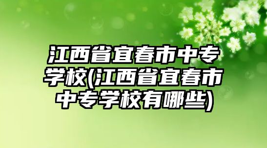 江西省宜春市中專學校(江西省宜春市中專學校有哪些)