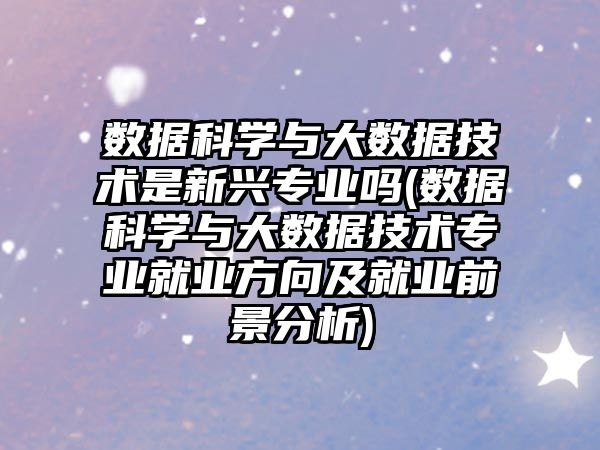 數(shù)據(jù)科學(xué)與大數(shù)據(jù)技術(shù)是新興專業(yè)嗎(數(shù)據(jù)科學(xué)與大數(shù)據(jù)技術(shù)專業(yè)就業(yè)方向及就業(yè)前景分析)