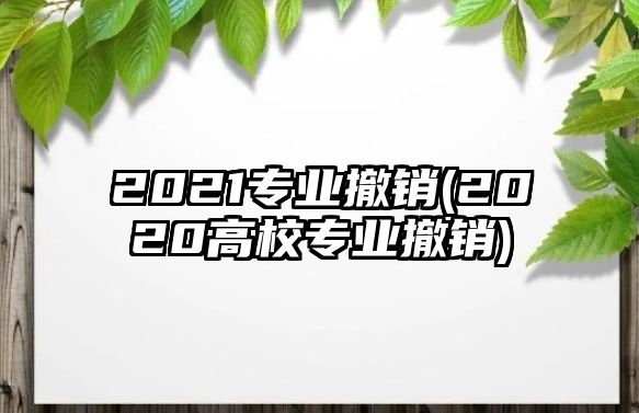 2021專業(yè)撤銷(2020高校專業(yè)撤銷)