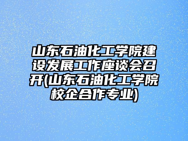 山東石油化工學(xué)院建設(shè)發(fā)展工作座談會(huì)召開(山東石油化工學(xué)院校企合作專業(yè))