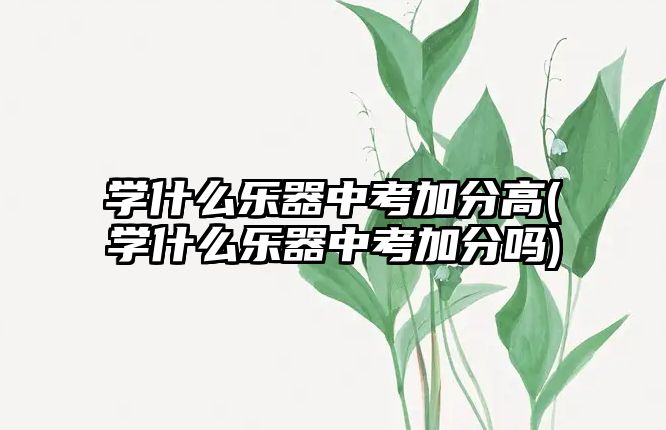 學(xué)什么樂(lè)器中考加分高(學(xué)什么樂(lè)器中考加分嗎)