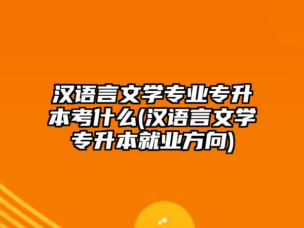 漢語言文學(xué)專業(yè)專升本考什么(漢語言文學(xué)專升本就業(yè)方向)