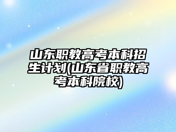 山東職教高考本科招生計劃(山東省職教高考本科院校)