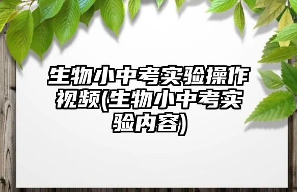 生物小中考實驗操作視頻(生物小中考實驗內(nèi)容)