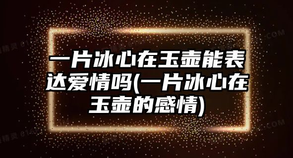 一片冰心在玉壺能表達愛情嗎(一片冰心在玉壺的感情)