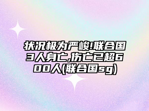 狀況極為嚴(yán)峻!聯(lián)合國(guó)3人身亡,傷亡已超600人(聯(lián)合國(guó)sg)