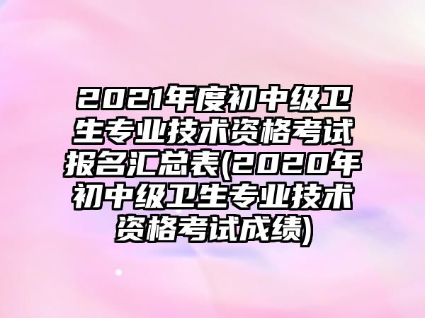 2021年度初中級衛(wèi)生專業(yè)技術(shù)資格考試報(bào)名匯總表(2020年初中級衛(wèi)生專業(yè)技術(shù)資格考試成績)