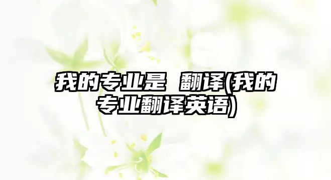 我的專業(yè)是 翻譯(我的專業(yè)翻譯英語(yǔ))