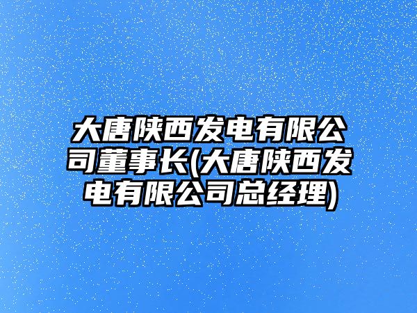 大唐陜西發(fā)電有限公司董事長(大唐陜西發(fā)電有限公司總經(jīng)理)