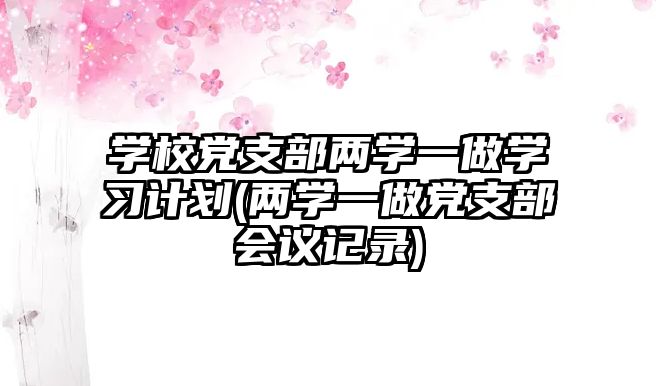 學校黨支部兩學一做學習計劃(兩學一做黨支部會議記錄)