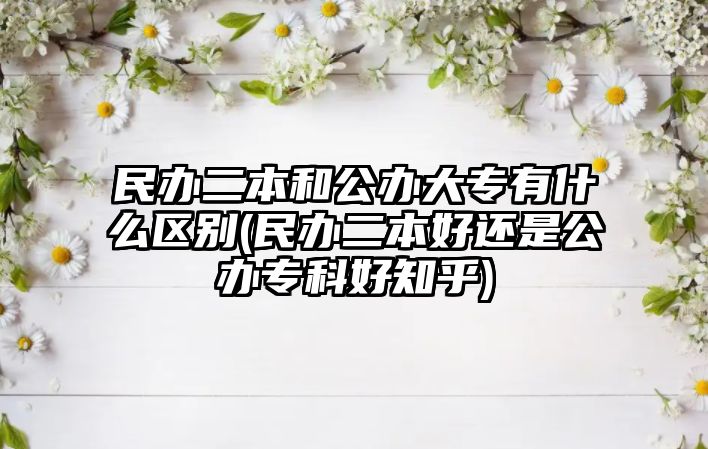 民辦二本和公辦大專有什么區(qū)別(民辦二本好還是公辦?？坪弥?