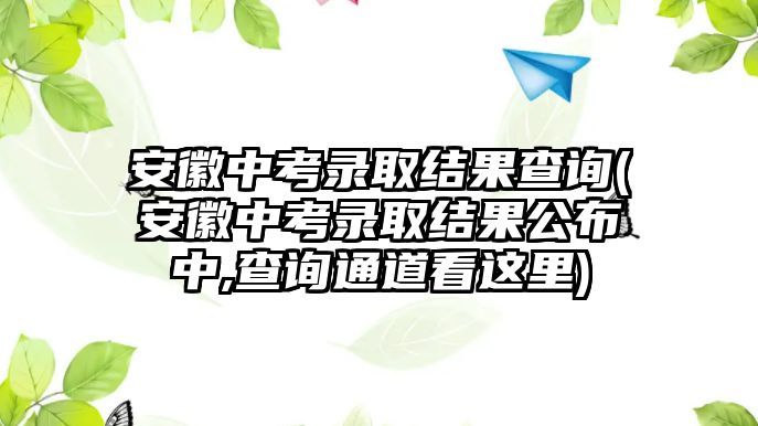 安徽中考錄取結(jié)果查詢(xún)(安徽中考錄取結(jié)果公布中,查詢(xún)通道看這里)