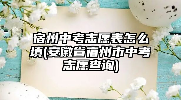 宿州中考志愿表怎么填(安徽省宿州市中考志愿查詢)