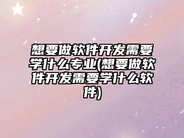 想要做軟件開發(fā)需要學什么專業(yè)(想要做軟件開發(fā)需要學什么軟件)