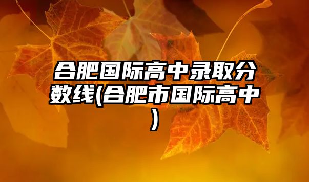 合肥國際高中錄取分?jǐn)?shù)線(合肥市國際高中)