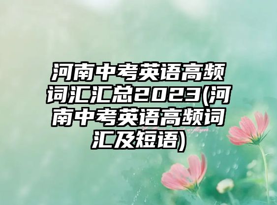 河南中考英語(yǔ)高頻詞匯匯總2023(河南中考英語(yǔ)高頻詞匯及短語(yǔ))